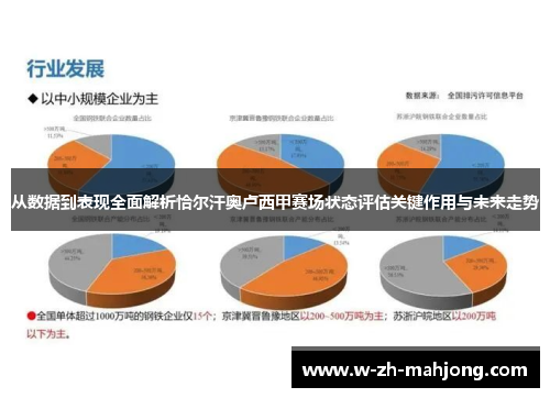 从数据到表现全面解析恰尔汗奥卢西甲赛场状态评估关键作用与未来走势