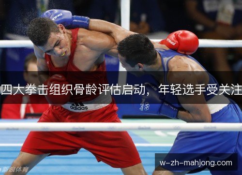 四大拳击组织骨龄评估启动，年轻选手受关注